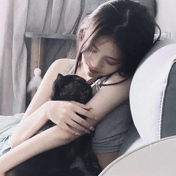 我是猫